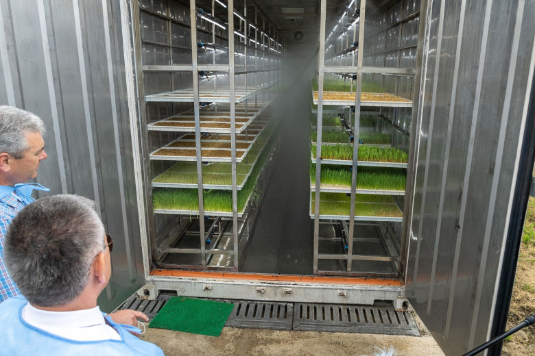 Фото: Пресс-служба Президента ПМР